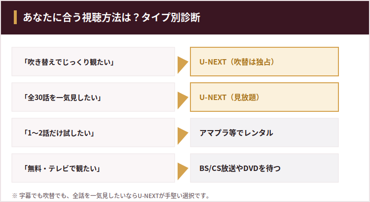 タイプ別診断。吹き替えでじっくり観たい→U-NEXT(吹替は独占)、全30話を一気見したい→U-NEXT(見放題)、1〜2話だけ試したい→アマプラ等でレンタル、無料・テレビで観たい→BS/CS放送やDVDを待つ。